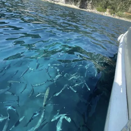 Vasiliki View * Μπαρμπάτι